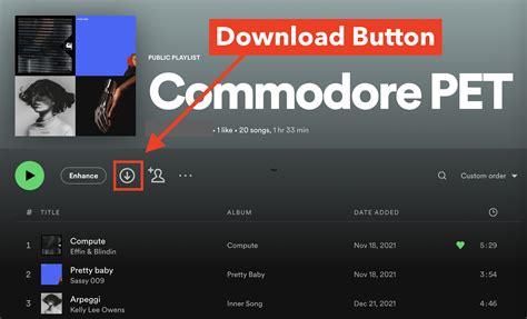 Can I Download Music from Spotify: A Detailed Discussion